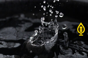 hwab Folge 2: Heizwasseraufbereitung ist ein Muss